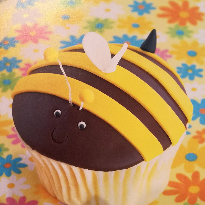cupcakes_1_800x800px